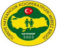 Haykoop